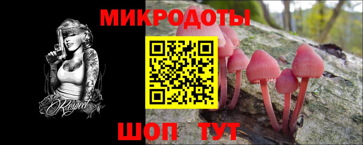 Галлюциногенные грибы GOLDEN TEACHER  Вход с VPN  купить наркоту  Карасук  Псилоцибиновые грибы Psilocybe 